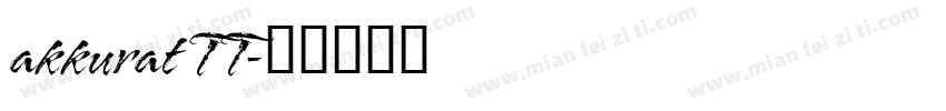 akkurat TT字体转换